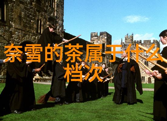 探秘蛇床子泡茶叶的神奇功效与作用