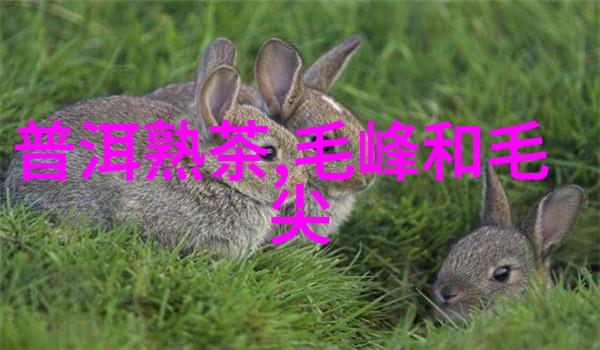 金飞燕茶具价格是多少