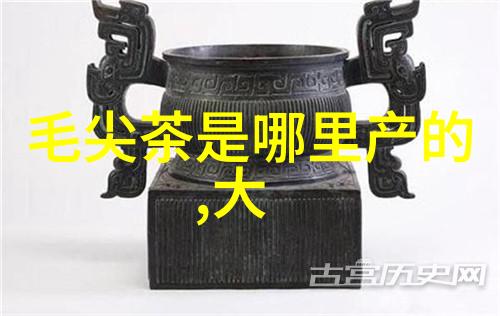 凤凰山茶叶探秘