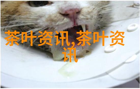 如何通过饮用安化黑茶实现健康减肥